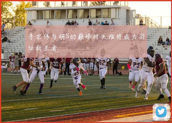 李宗伟与胡S的巅峰对决谁将成为羽坛新王者